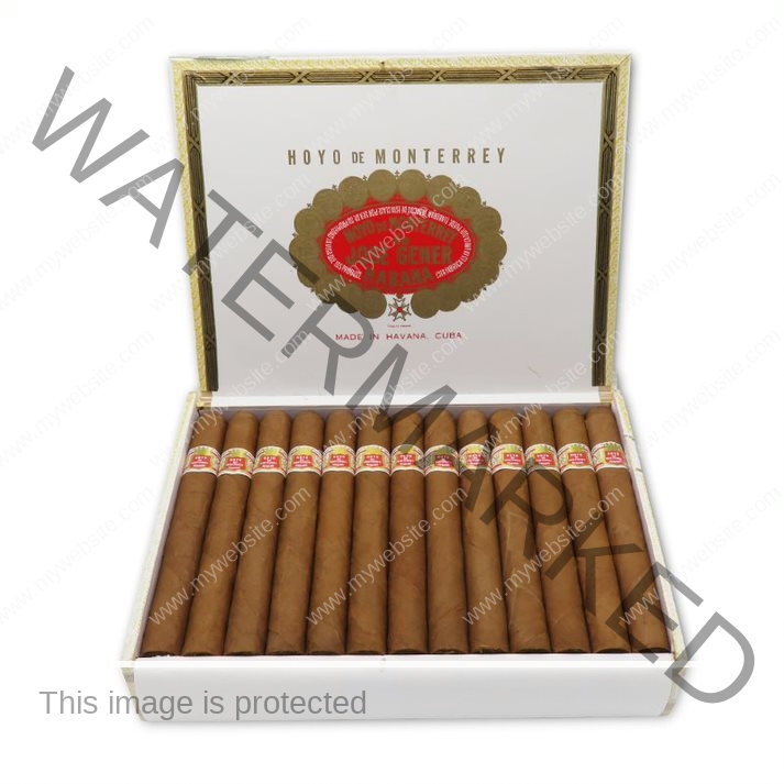 hoyo de monterrey churchills cigars hoyo de monterrey churchills cigars