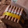 Buy hoyo de monterrey epicure no 2