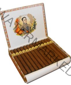 Buy Bolivar Supremas Churchills