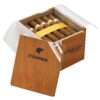 Buy Cohiba Robusto Cigars | Cohiba Robusto For Sale