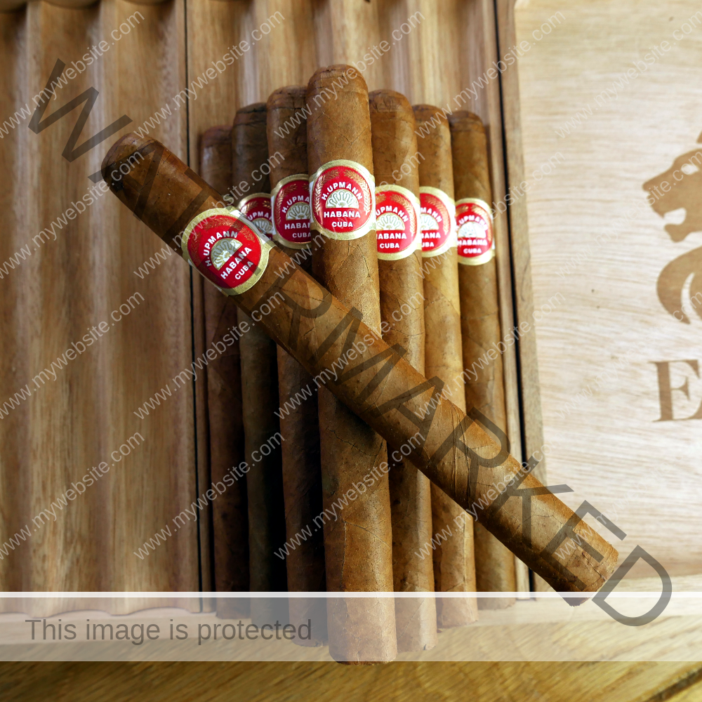 H Upmann Majestic Cigar For Sale - H Upmann Cigars Online H Upmann Majestic Cigar For Sale - H Upmann Cigars Online