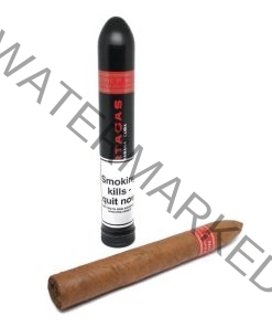Partagas Serie D No 2