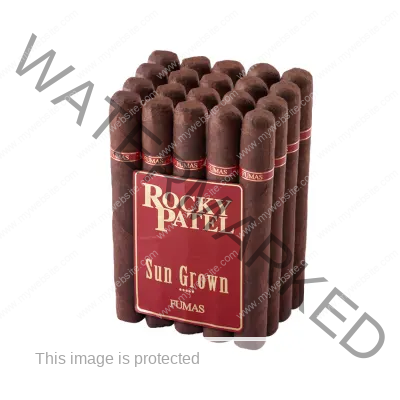 Rocky Patel Sun Grown Maduro Toro Rocky Patel Sun Grown Maduro Toro
